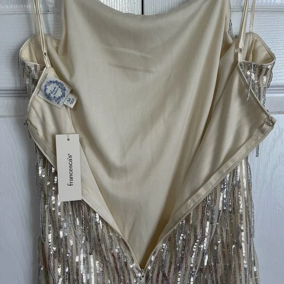 NWT Francesca's Sequin Fringe Dress by Blue Rain - Picture 8 of 8
